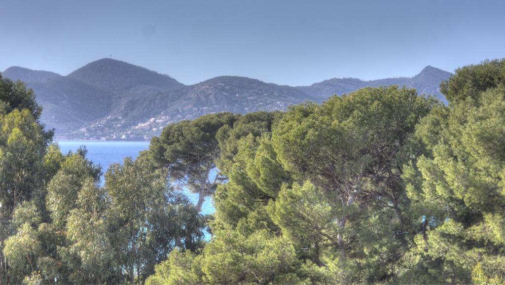 2 Pièces vue mer Golden Beach Cannes Exterior foto